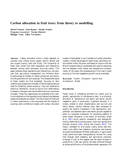 Carbon allocation in fruit trees