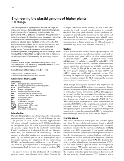 Engineering the plastid genome of higher plants Pal Maliga