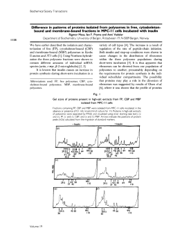 Difference in patterns of proteins isolated from polysomes in free
