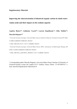 Supplementary Information