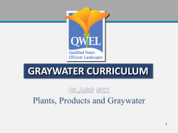 GRAYWATER CURRICULUM