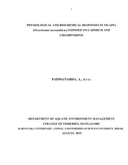 EXPOSED TO CADMIUM AND CHLORPYRIFOS
