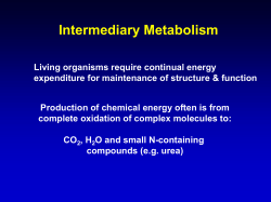 Most energy is captured in the form of ATP
