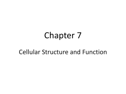 Chapter 2