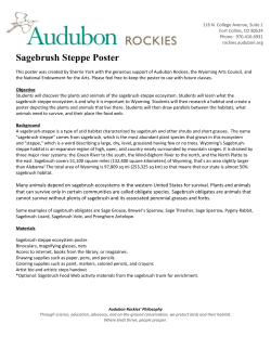 and Print the Sagebrush Ecosystem