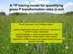 A 33P tracing model for quantifying gross P transformation rates in soil