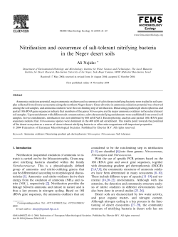 Nitrification and occurrence of salt-tolerant nitrifying bacteria in the