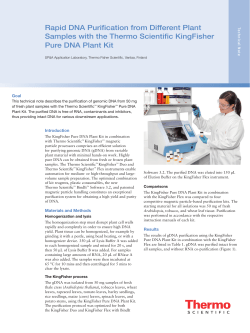 Rapid DNA Purification from Different Plant Samples with the