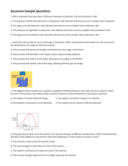 Keystone Sample Questions