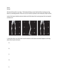 Kicking a soccer ball