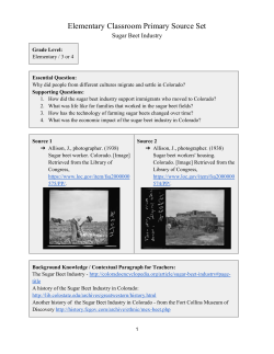 Primary Source Set and Lesson Ideas (WORD)