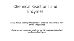 Chemical Reactions and Enzymes