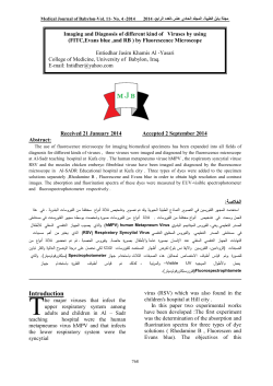 Imaging and Diagnosis of different kind of Viruses by using (FITC