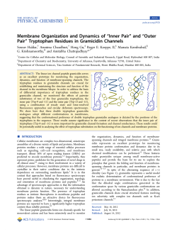 Membrane Organization and Dynamics of &ldquo;Inner Pair&rdquo; and &ldquo;Outer