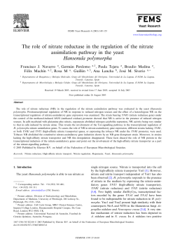 The role of nitrate reductase in the regulation of the nitrate