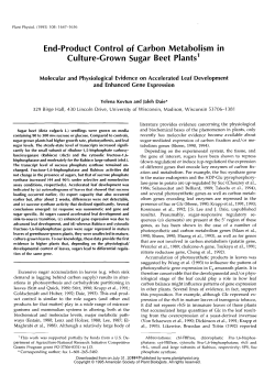 End-Product Control of Carbon Metabolism in Culture