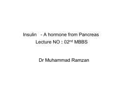 Insulin Lecture NO:10 02MBBS