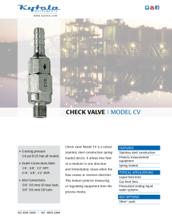 CHECK VALVE MODEL CV