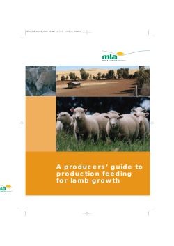 A producers` guide to production feeding for lamb growth