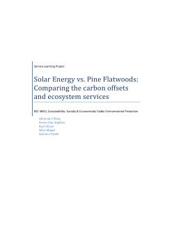 Solar Energy vs. Pine Flatwoods: Comparing the carbon offsets and