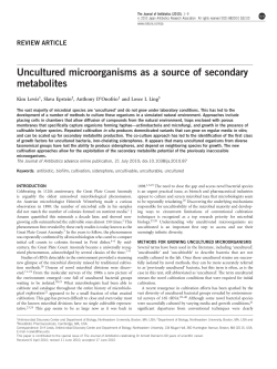 Uncultured microorganisms as a source of secondary metabolites