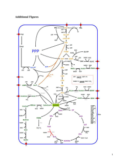 13068_2015_338_MOESM1_ESM