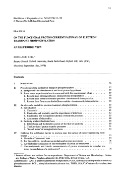 On the functional proton current pathway of electron transport