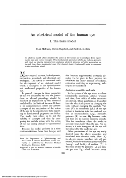 An Electrical Model of the Human Eye I. The basic model