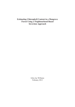Estimating Chlorophyll Content in a Mangrove Forest Using a