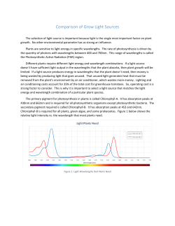 Comparison of Grow Light Sources