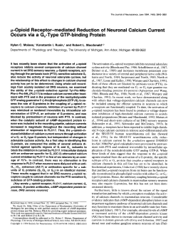 p-Opioid Receptor-mediated Reduction of Neuronal Calcium