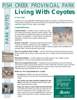 Living With Coyotes