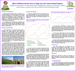 Effect of Different Harvest Time on Sugar and Juice Yield of