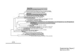 Diapositiva 1