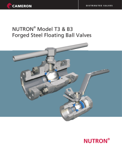 Nutron T3 high pressure ball valve