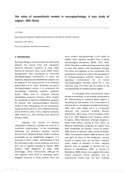 A case study of neglect - MSc Thesis