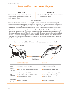 Seals and Sea Lions: Venn Diagram