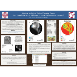 A Critical Analysis of Optimal Foraging Theory: Does