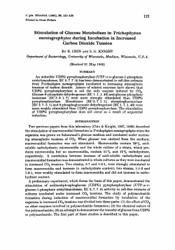 Stimulation of Glucose Metabolism in Trichophyton