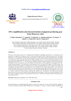 DNA amplification and characterization of pigment