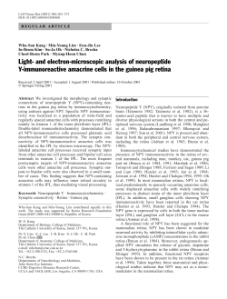 Light- and electron-microscopic analysis of neuropeptide Y