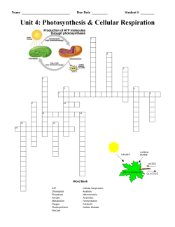1. Cellular Respiration occurs inside this organelle.