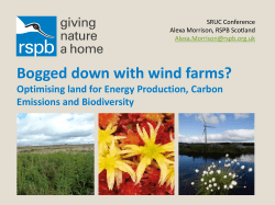 Bogged down with wind farms? Optimising land for Energy