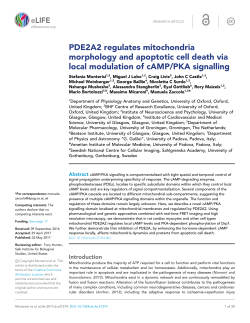 PDE2A2 regulates mitochondria morphology and apoptotic cell