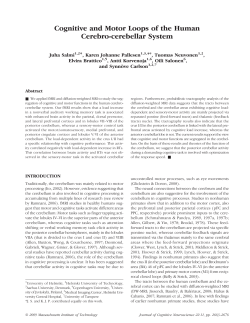 Cognitive and Motor Loops of the Human Cerebro