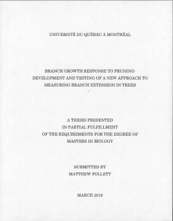 Branch growth response to pruning - Archipel