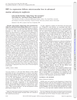 HIF-1 expression follows microvascular loss in advanced murine