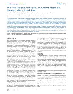 The Tricarboxylic Acid Cycle, an Ancient Metabolic Network with a