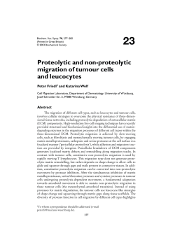 Proteolytic and non-proteolytic migration of tumour cells and