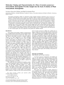 Molecular Cloning and Characterization of a
